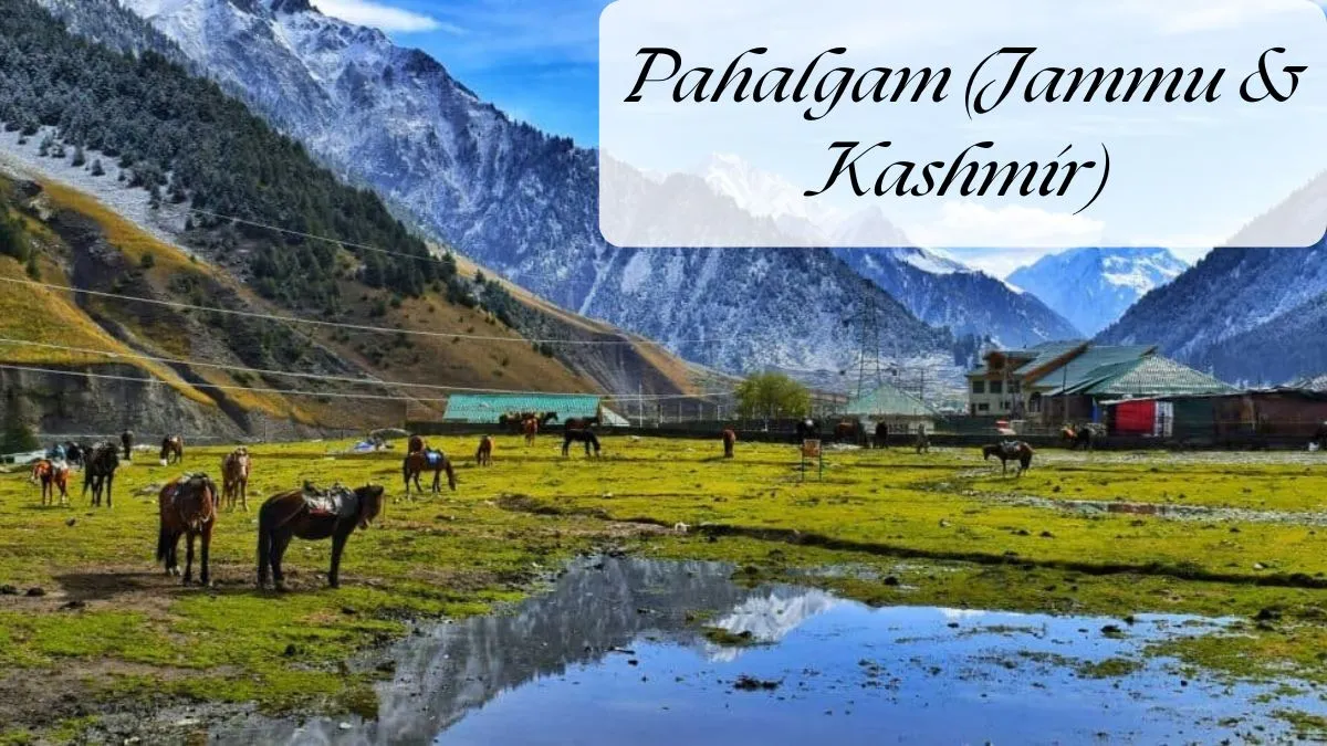 Pahalgam Jammu & Kashmir