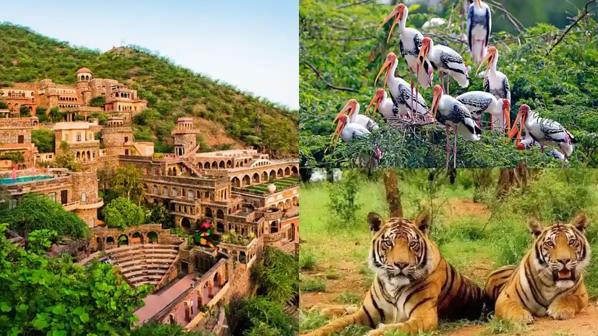 Places to Visit on the Delhi to Jaipur Road Trip