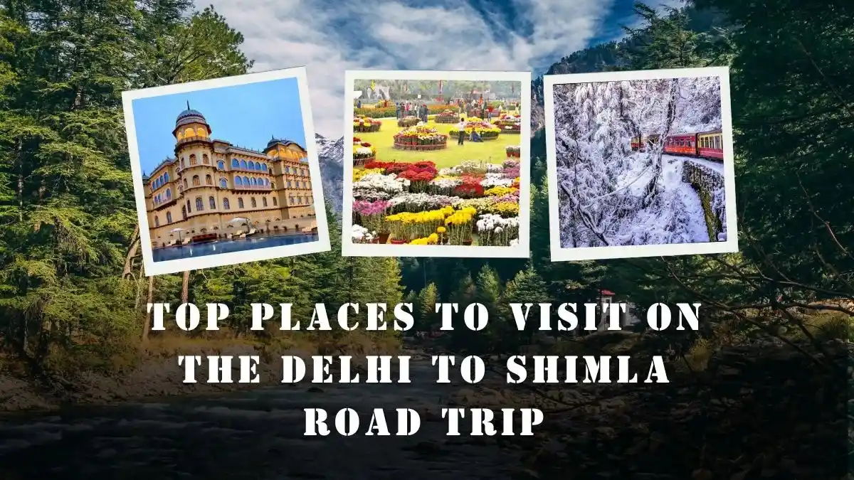 Top Places to Visit on the Delhi to Shimla Road Trip
