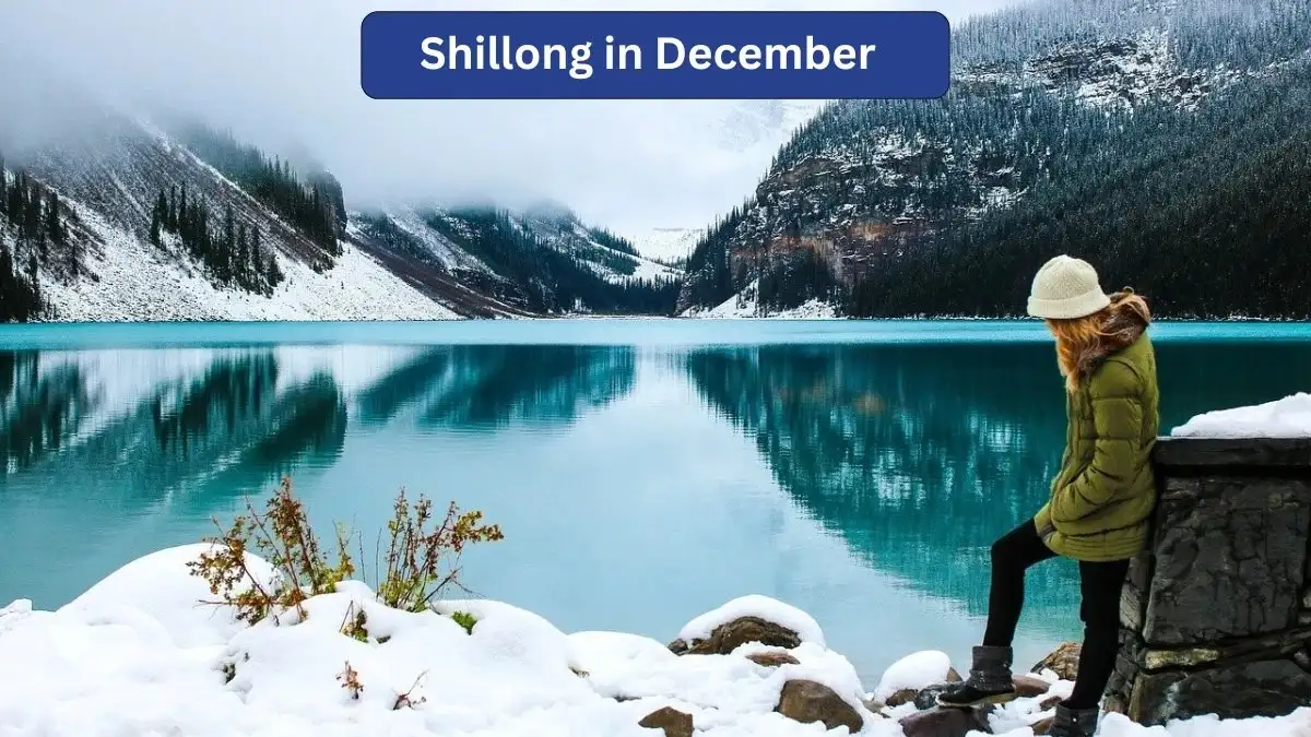Shillong in December