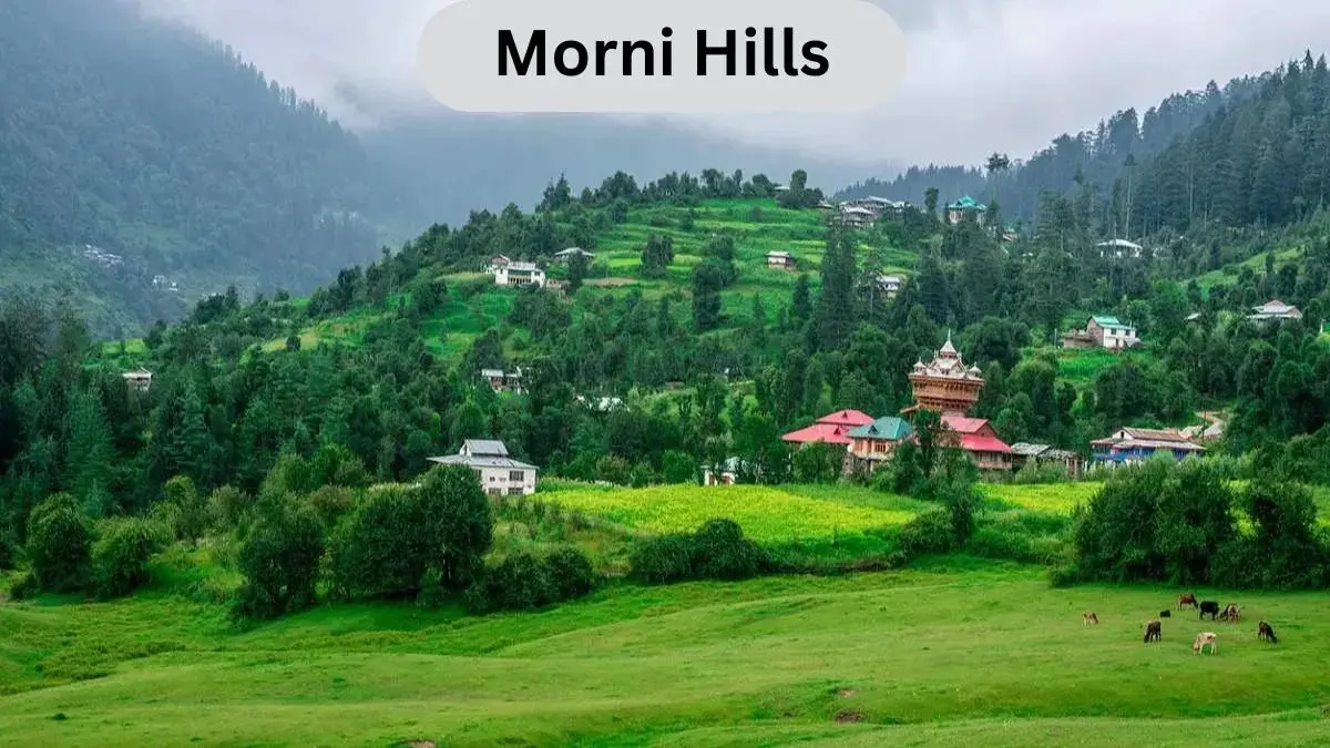  Morni Hills