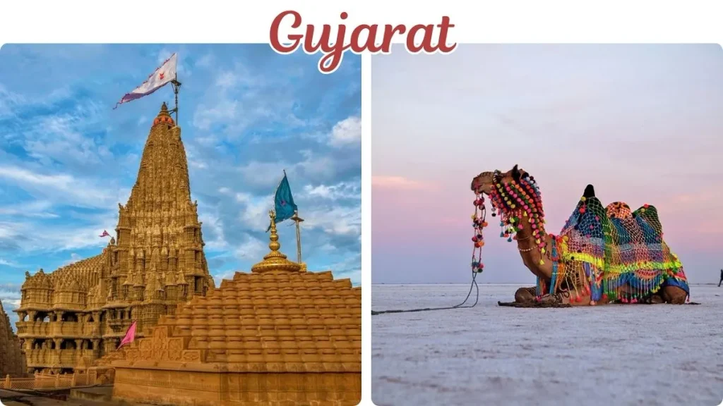Places to Visit in November in India by Tempo Traveller Places to Visit in November in India by Tempo Traveller