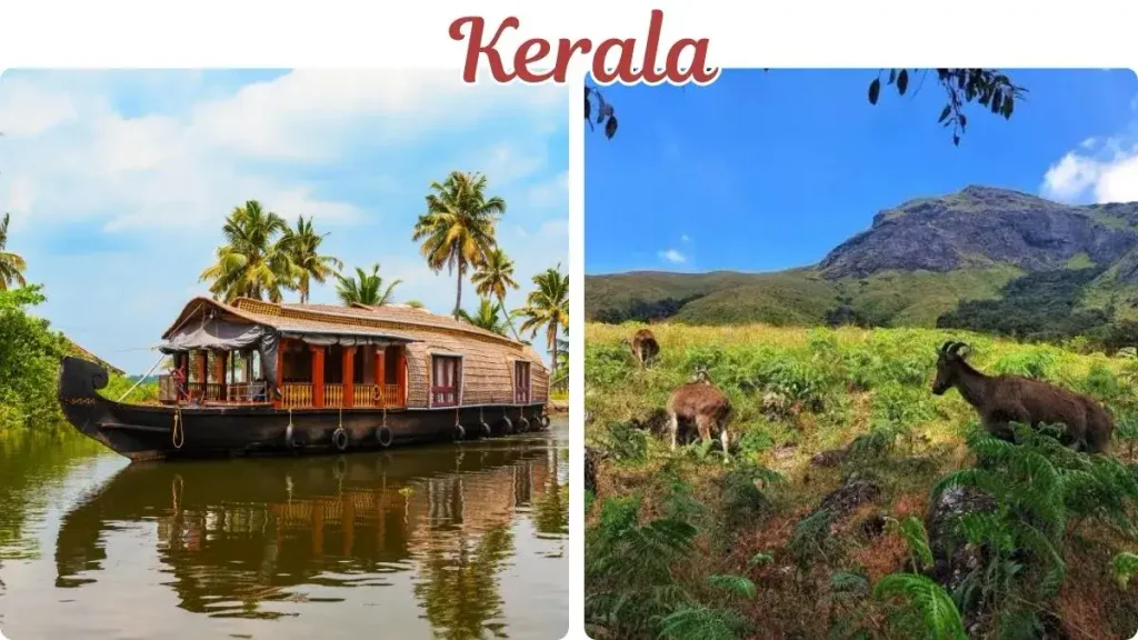 Places to Visit in November in India by Tempo Traveller Places to Visit in November in India by Tempo Traveller