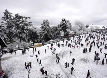 Delhi to Shimla