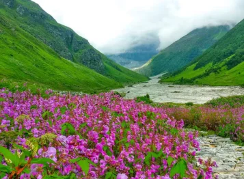 Delhi to Valley of Flowers