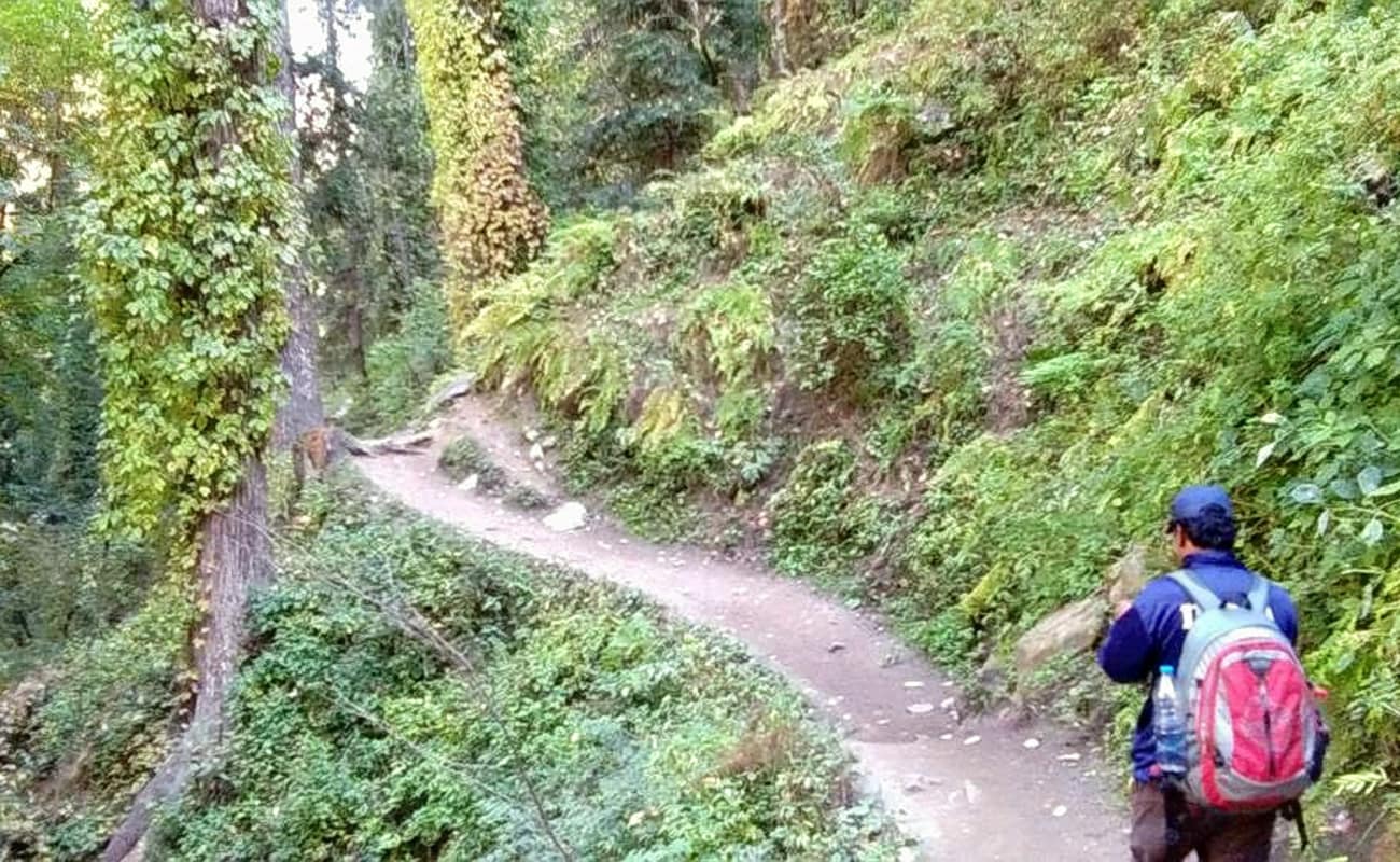 5 Days manali tour package