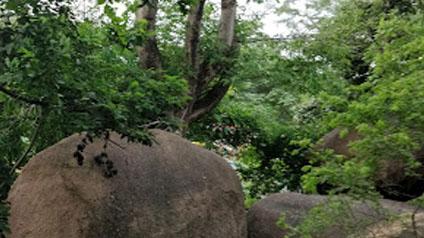 9 seater tempo traveller hire in Balancing Rock