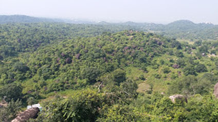 9 seater tempo traveller hire in Balancing Rock