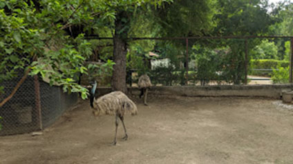 9 seater tempo traveller hire in Gwalior Zoo