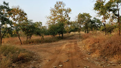 9 seater tempo traveller hire in Panna National Park